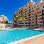 Flor Da Beira Ou Paraiso Sol Da Rocha