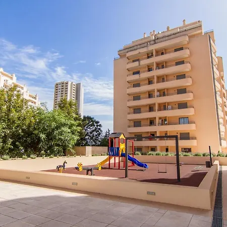 Flor Da Beira Ou Paraiso Sol Da Rocha