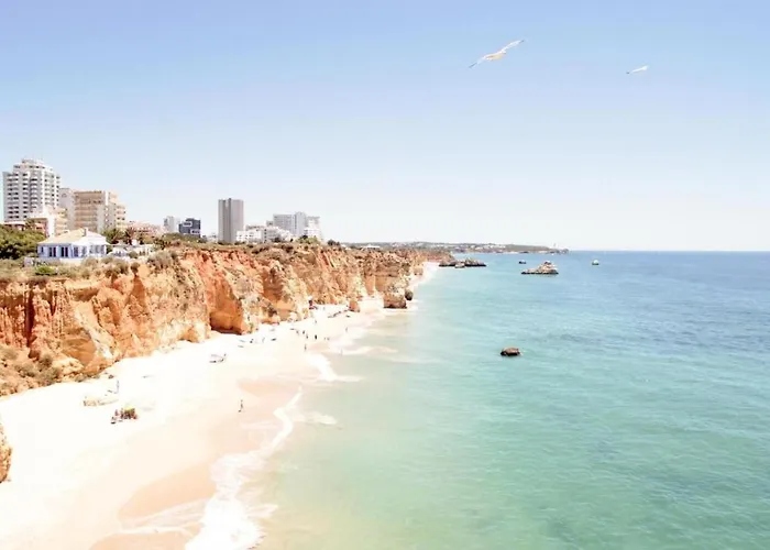 Flor Da Beira Ou Paraiso Sol Da Rocha