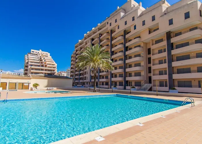 Flor Da Beira Ou Paraiso Sol Da Rocha